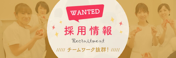 採用情報